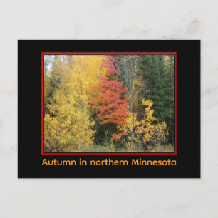 Northland en automne Carte postale