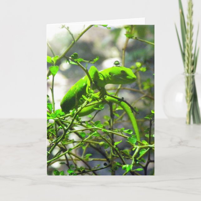 Northland Green Gecko Card (Front)