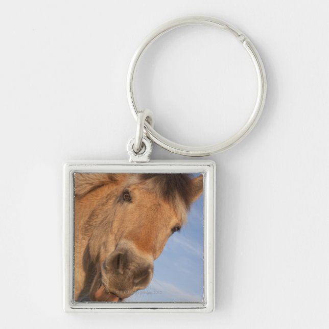 Northumberland, England 2 Keychain (Front)