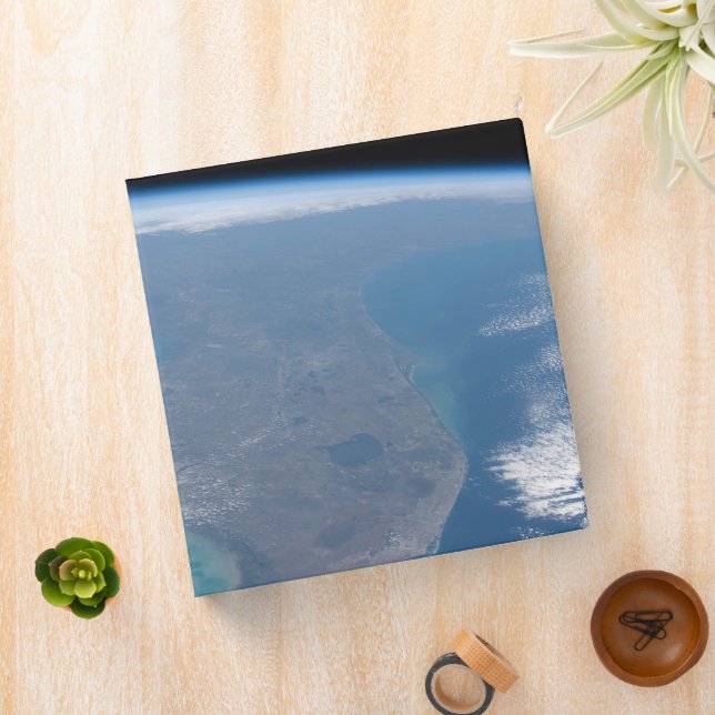 Northward The Florida Peninsula. Binder (In Situ)