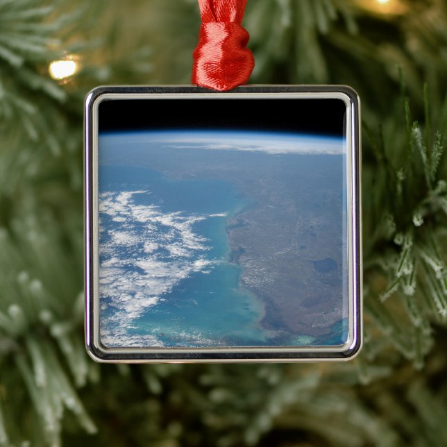 Northward The Florida Peninsula. Metal Ornament (Tree)