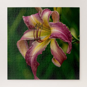 Northwind Dancer Daylily  Jigsaw Puzzle