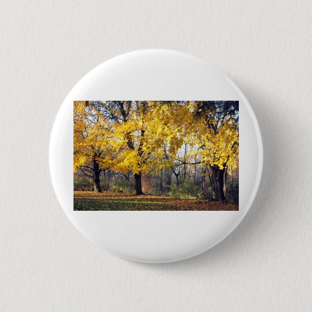 Norway Maples 2 Inch Round Button (Front)
