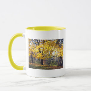 Norway Maples Mug