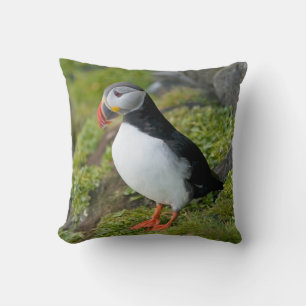 Norway, Svalbard Archipelago, Spitsbergen 9 Throw Pillow