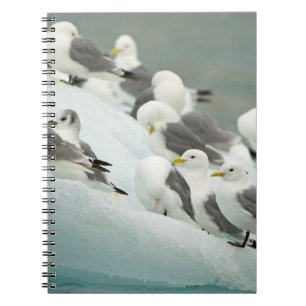 Norway, Svalbard Archipelago, Spitsbergen Notebook
