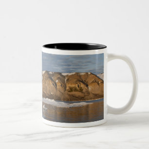 Norway, Svalbard, Spitsbergen Island, Setting Two-Tone Coffee Mug