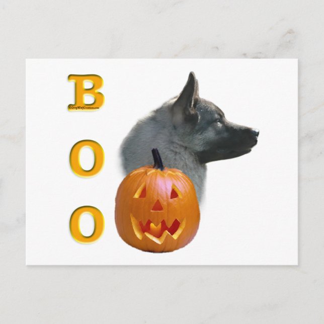 Norwegian Elkhound Boo Postcard (Front)