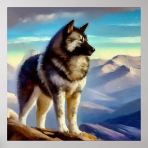 Norwegian Elkhound Dog Poster