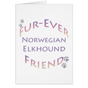 Norwegian Elkhound Furever