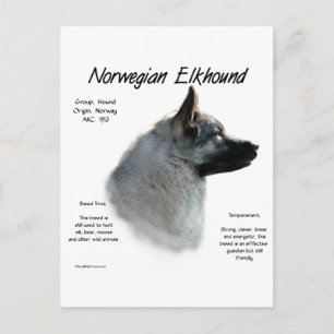 Norwegian Elkhound History Design Postcard