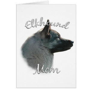 Norwegian Elkhound Mom 2