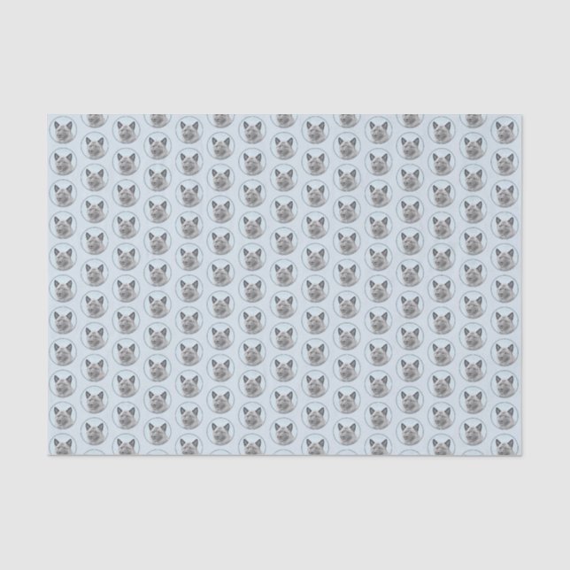 Norwegian Elkhound Painting - Original Dog Art Tissue Paper (Front)