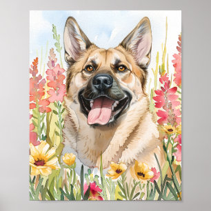 Norwegian Elkhound Watercolor Dog Poster Art