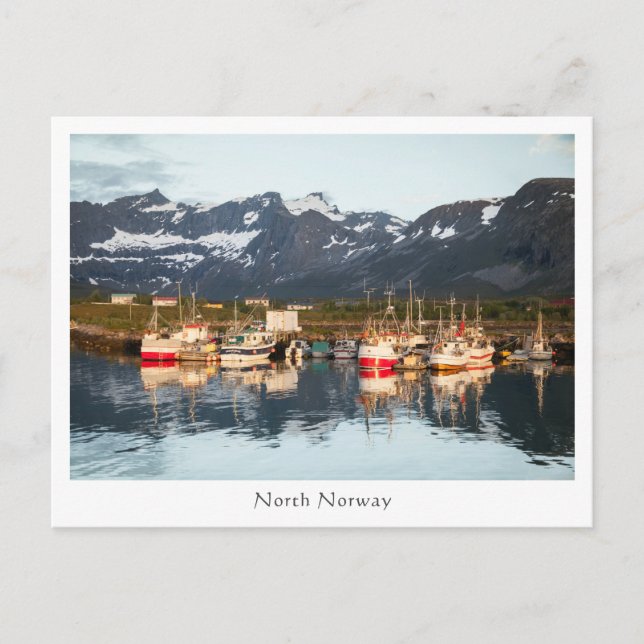 Norwegian Fishing Boats Postcard (Front)