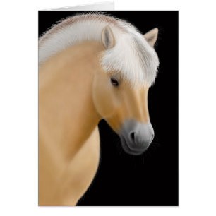 Norwegian Fjord Horse Card