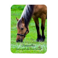 Norwegian Fjord Horse