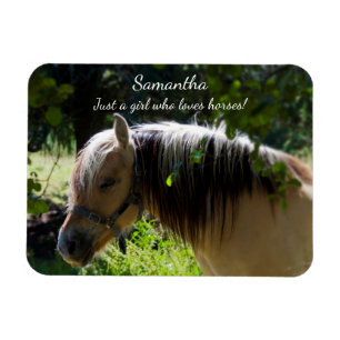 Norwegian Fjord Horse Magnet