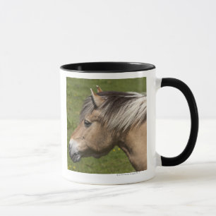 Norwegian Fjord Horse Mug