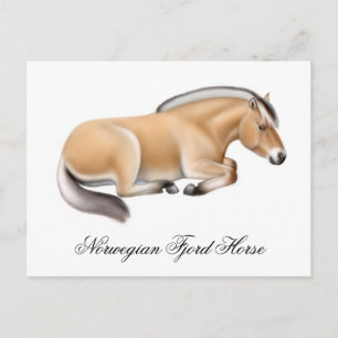 Norwegian Fjord Horse Postcard
