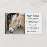 Norwegian Fjord Horse Veterinarian Vet Clinic