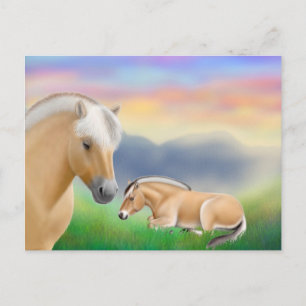 Norwegian Fjord Horses Postcard