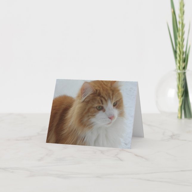 Norwegian_Forest_Cat Card (Front)