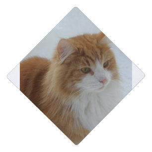 Norwegian_Forest_Cat Graduation Cap Topper