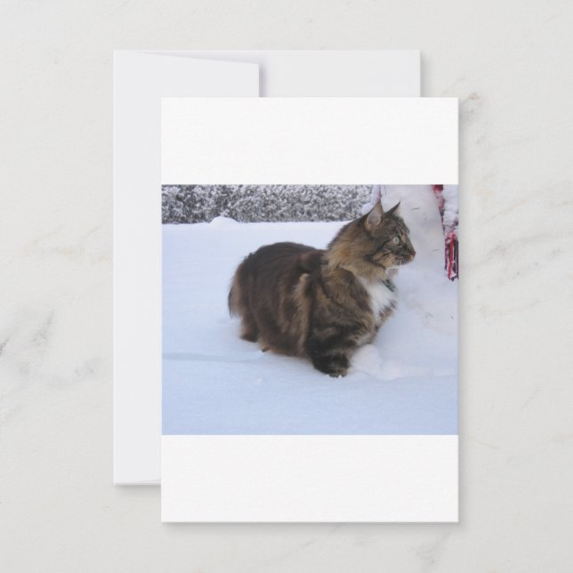 norwegian forest cat in snow card (Front)