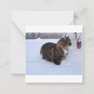 norwegian forest cat in snow card