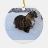 norwegian forest cat in snow