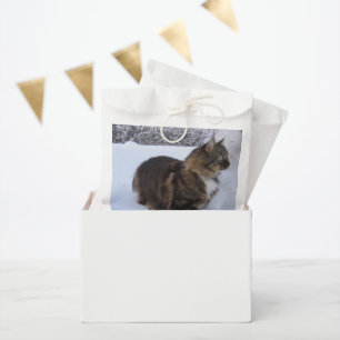 norwegian forest cat in snow favour bag