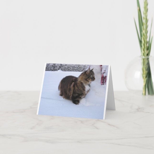 norwegian forest cat in snow note card (Front)