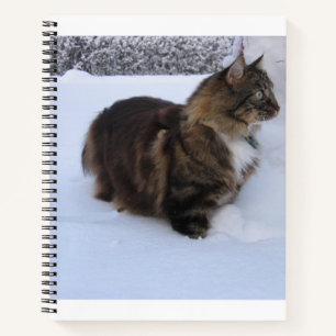 norwegian forest cat in snow notebook