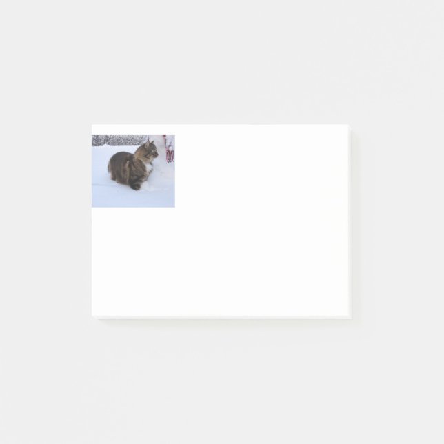 norwegian forest cat in snow post-it notes (Front)