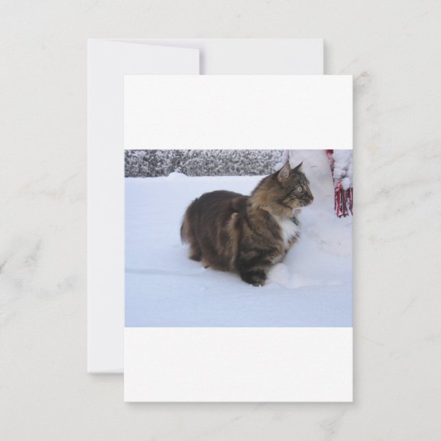 norwegian forest cat in snow save the date (Front)