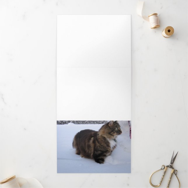 norwegian forest cat in snow Tri-Fold programme (Outside)