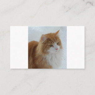 Norwegian_Forest_Cat Loyalty Card