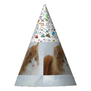 Norwegian_Forest_Cat Party Hat