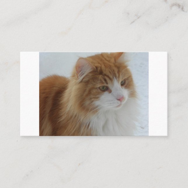 Norwegian_Forest_Cat Place Card (Front)