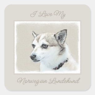 Norwegian Lundehund Painting - Original Dog Art Sq Square Sticker