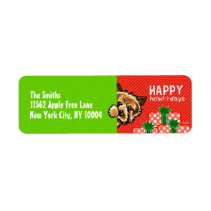 Norwich Cairn Terrier Peek-a-boo Christmas