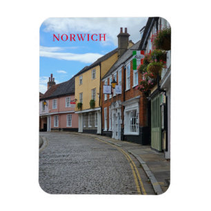 Norwich colourful buildings view fridge magnet