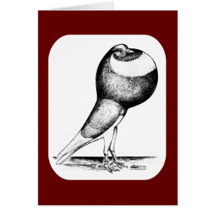 Norwich Cropper 1980