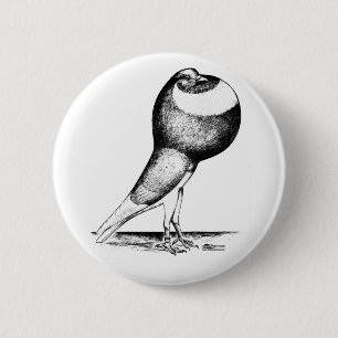 Norwich Cropper 1980 2 Inch Round Button