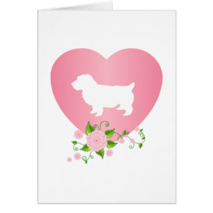 Norwich Terrier