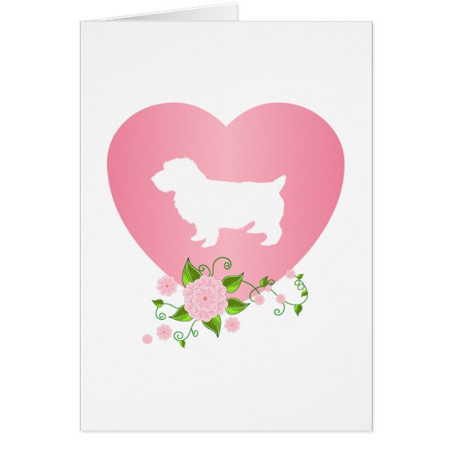 Norwich Terrier (Front)