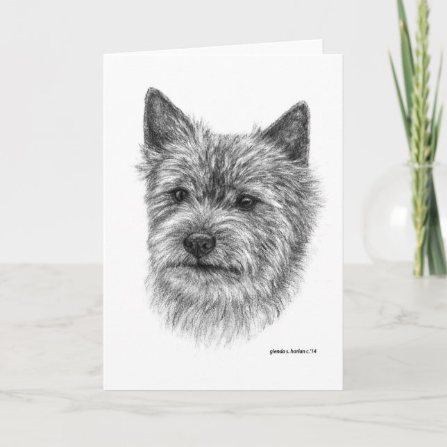 Norwich Terrier Art by Glenda S. Harlan Note Card (Front)