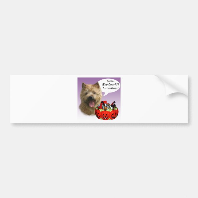 Norwich Terrier Halloween Candy Bumper Sticker (Front)