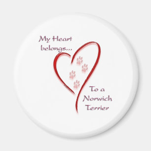 Norwich Terrier Heart Belongs Magnet
